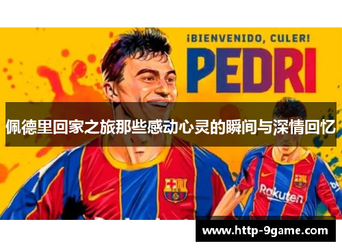 佩德里回家之旅那些感动心灵的瞬间与深情回忆